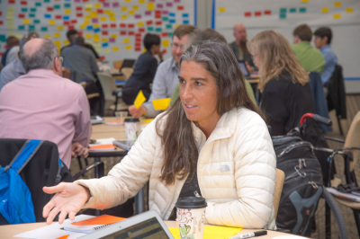 Dr. Amy Langville at the Negotiating the Digital and Data Divide Workshop