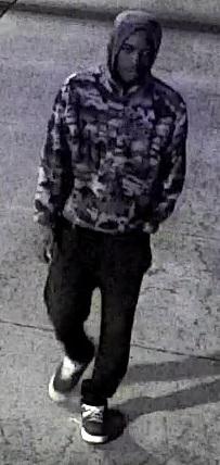 Attempted Rape Suspect