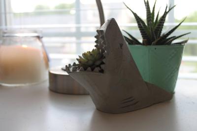 Make 10 Product - Shark Vase