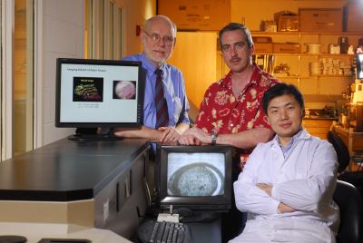 Research Horizons - Bio Imaging - mass spectrometry results