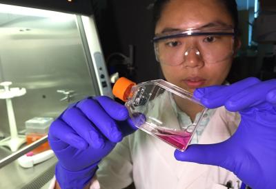 Pancreatic cancer cells and microRNA3