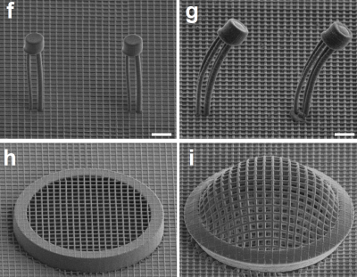 Special electron microscope view of changing architected material