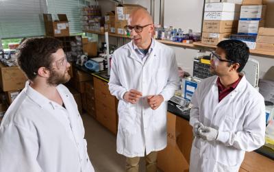 Hydrogel-based treatment