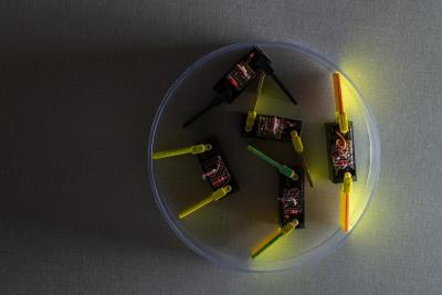 Controlling a Supersmarticle