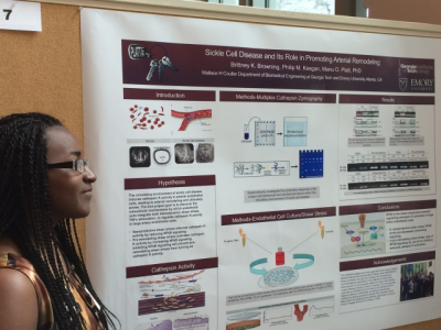 SURE (Summer Undergraduate Research Experience)