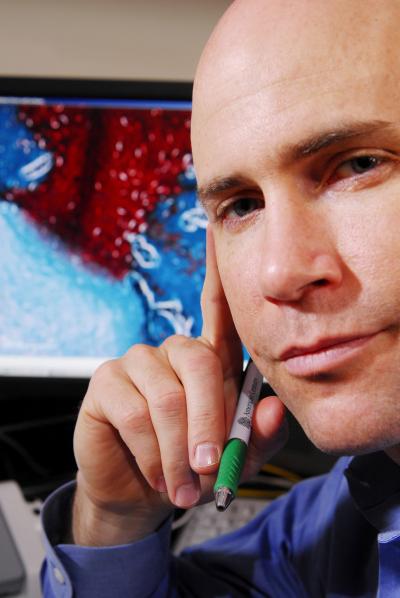 Robert Guldberg bone regeneration