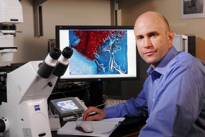 Robert Guldberg bone regeneration