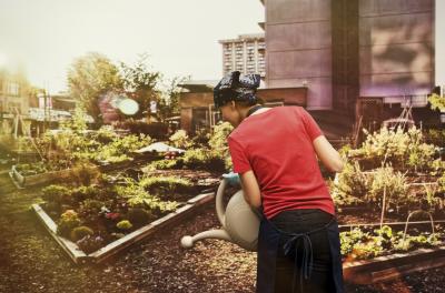 Urban Gardening