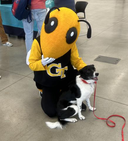 Buzz poses with a therapy dog