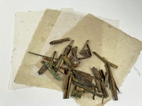 Beige papers with different degrees of translucency with small, rolled plant fibers placed on top