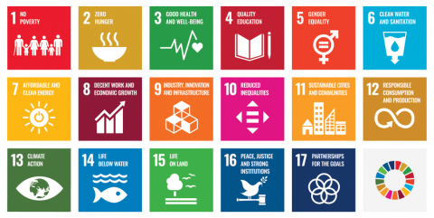 graphic of the 17 UN SDGs