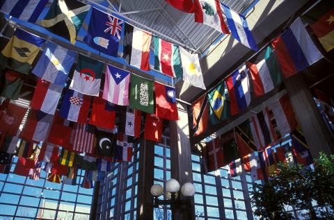 Representative Flags in Student Services Building