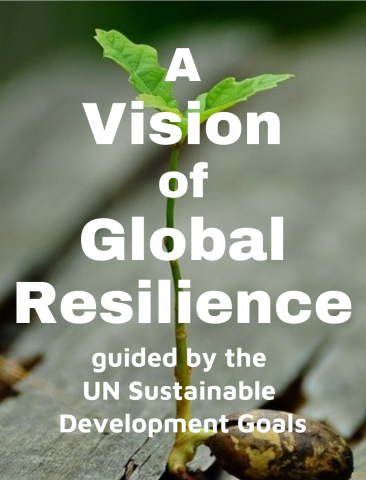 A Vision of Global Resilience Image