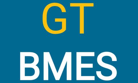 Blue background with text that says "GT BMES" on top.
