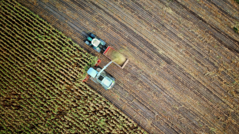 Aerial image of farmers harvesting crops in a large field