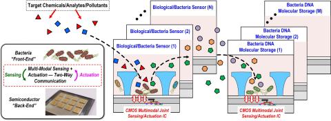 graphic depicting SemiSynBio-II: A Hybrid Programmable Nano-Bioelectronic System