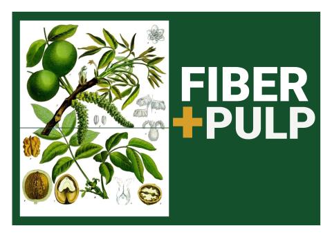 Botanical illustration of plant fibers and the text "fiber + pulp" over a green background
