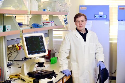 Denis Tsygankov, assistant professor in the Wallace H. Coulter Department of Biomedical Engineering at Georgia Tech and Emory University, has won a Faculty Early Career Development (CAREER) Award from the National Science Foundation.