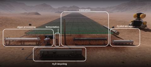 The production of a Martian biofuel from CO2 involves four modules: algae cultivation to convert CO2 to glucose, algae processing to release the stored glucose from the algal biomass, fermentation to convert glucose to the desired biofuel and separation of the biofuel for burning in a Mars ascent vehicle (MAV). Other key parts of the process include H2O recycling to maximize the use of limited Martian water and O2 storage to capture excess photosynthetic oxygen for redistribution to other parts of a Martian
