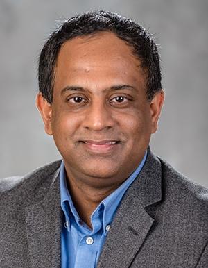 Sankar Nair, Professor