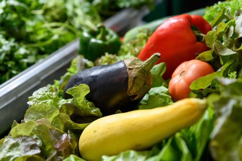 Image of lettuce, yellow squash, eggplant and red bell pepper