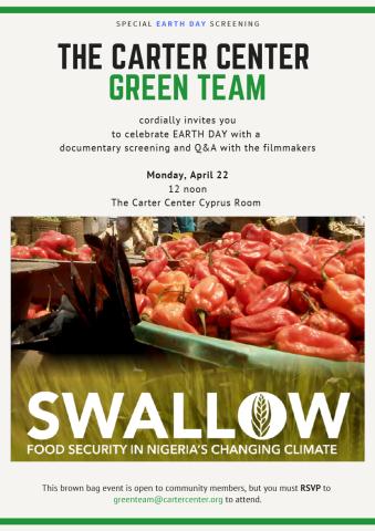 Swallow documentary flyer 1