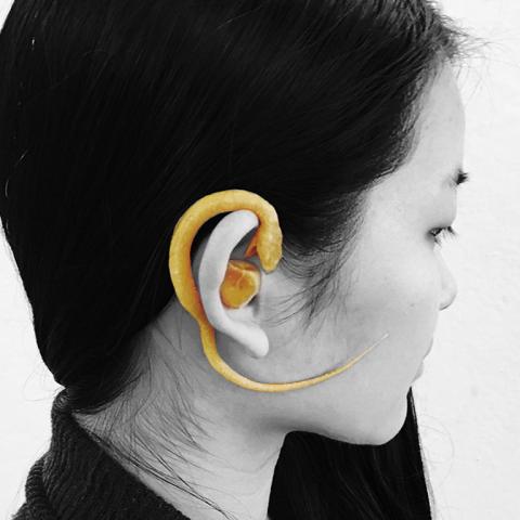 Student's "Ear Art" from ID class.