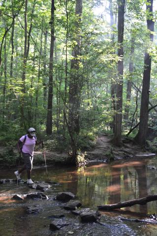 Faculty & Staff Hike: Kennesaw