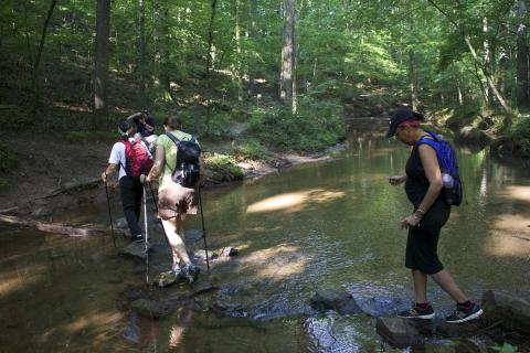 Faculty & Staff Hike: Kennesaw Creek