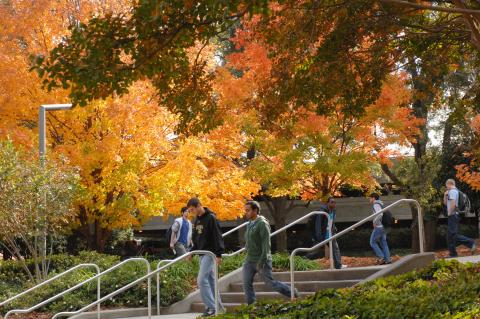 Tech Students Walking Under Fall Leaves