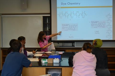High School Biology "Getting STEAMy with Batik" - CEISMC hosted the 3rd Annual STEM Mini-Conference