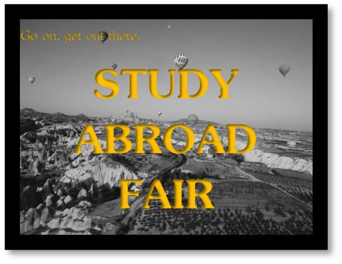 Study Abroad Fair 2014 Image