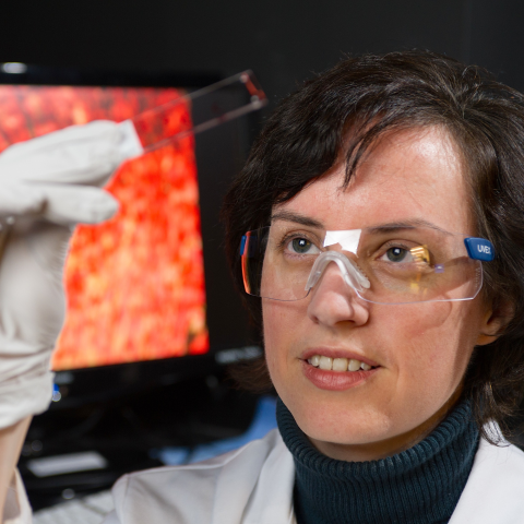 Johnna Temenoff, PhD -  Co-director of Center for Regenerative Engineering and Medicine