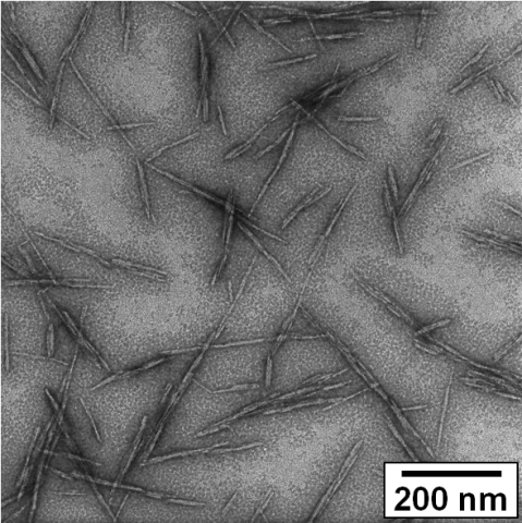 Cellulose Nanomaterials