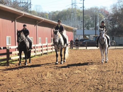 Equestrian Team Members Inducted as Honorary Mounted Patrol