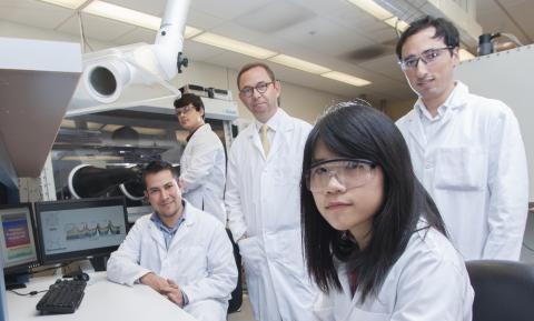 Research team for polymer solar cells