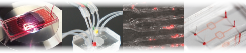 Microfluidics Collage IEN