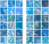 Satellite image in photo tiles for Deep Population project 