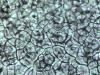 Microscope image of perovskite crytal grains