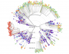 A circular data visualization of epidemiological models for Covid-19 cases