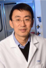 Wei Sun, associate professor in the Wallace H. Coulter Department of Biomedical Engineering at Georgia Tech and Emory University