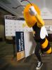 Buzz in Admission Office