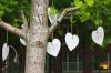 Paper hearts hangs from a campus tree displaying messages from a member of the campus community