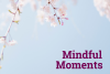 cherry blossoms with tect Mindful Moments