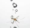 Mosquitoes Fly in Rain - 1