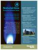 Natural Gas Executive Seminar Series