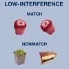 Low-Interference Object Perception