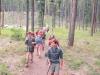 People carry large backpacks as they hike through the woods.