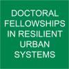 fellowship in resilient urban systems