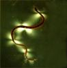 research Horizons - Snakes - gelatin